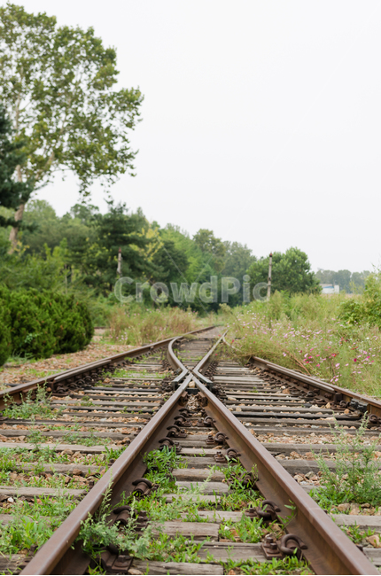 가을,풍경,철길,교차로,기차길,자연,풍경,nature,landscape,rail,레일,railway,철도,transportation,교통,train track,기찻길