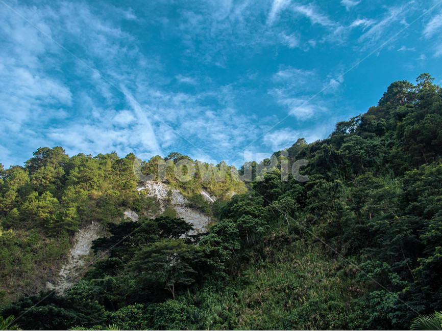 nature,자연,outdoors,옥외,식물,초목,vegetation,sky,하늘,산,푸른색,phillppines,자연,풍경,nature,landscape,plant