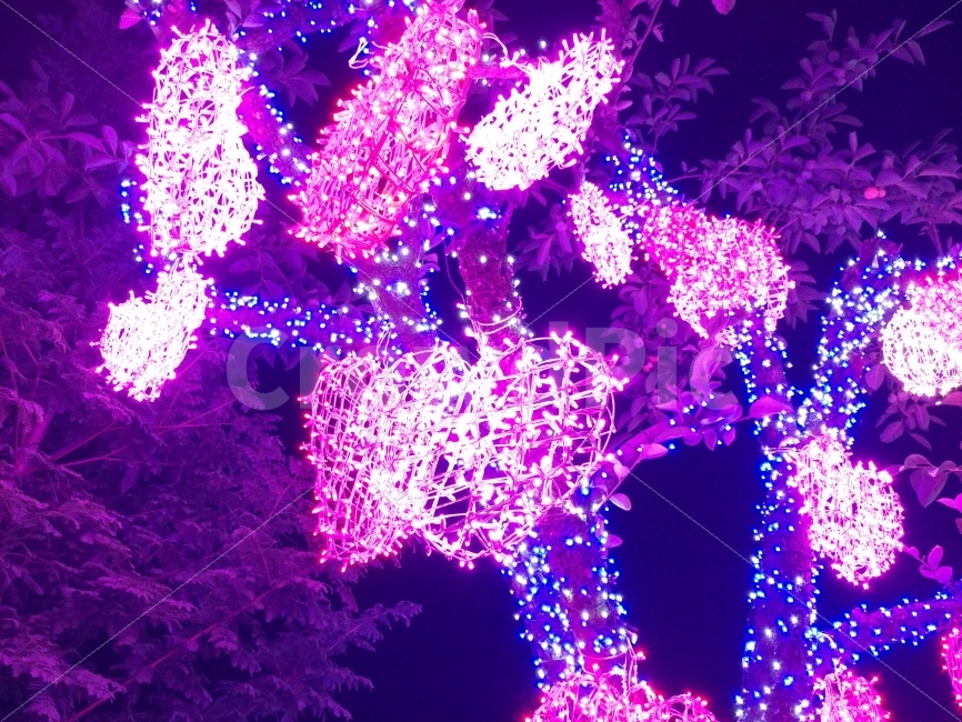 청도,프로방스,동화마을,빛,야경,불빛,야경,밤,풍경,nightscape,night,landscape,예술,art,축제,행사,festival,carnival,event,light,ornament,장식