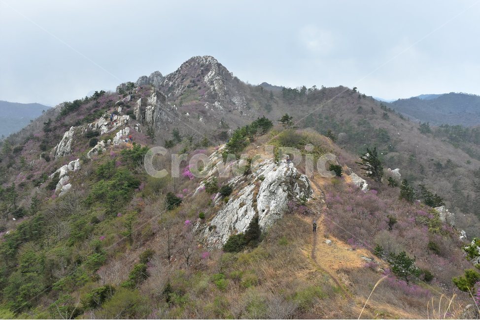 주작산,덕룡산,종주,진달래,풍경,기암,바위,비경,봄풍경,진달래꽃,강진,명산,산행,등산,마운틴,힐링,mountain,landscape,자연,natural,자연,풍경,nature,landscape,한국자연풍경,한국자연경관,korea nature landscape,slope,경사,outdoors,옥외,산