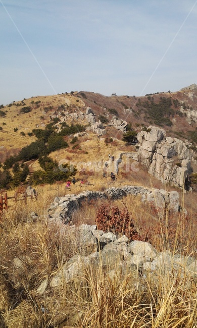 nature,자연,산,outdoors,옥외,가을산,등산,금정산,산행,단풍,가을,자연,풍경,nature,landscape,mountain