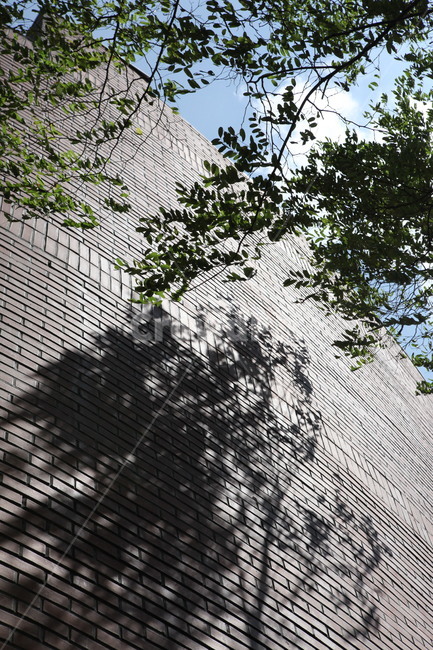 나무,그림자,하늘,건물,대비,건축물,건물외관,exterior,building,structure,architecture,construction