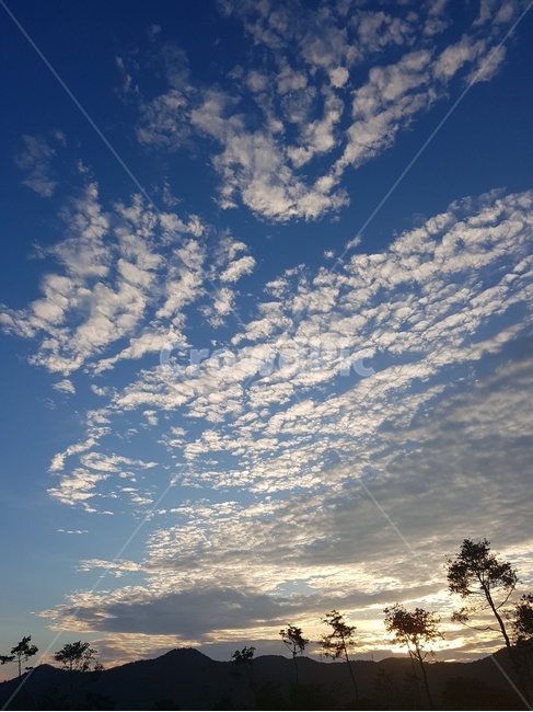 하늘,구름,나무,자연,산,태양,자연,풍경,nature,landscape,outdoors,옥외,sky