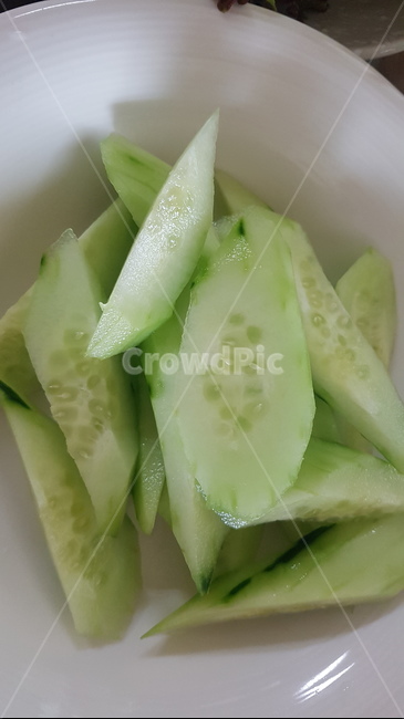 cucumber,오이,vegetable,야채,food,plant,식물