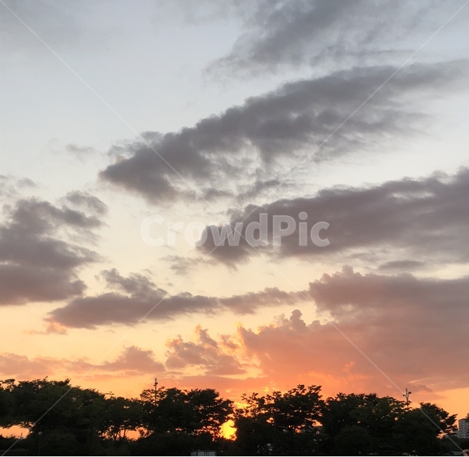 하늘,구름,풍경,노을,나무,자연,풍경,nature,landscape,outdoors,옥외,sky,sunset,일몰,dusk,황혼,dawn,새벽,red sky,붉은 하늘,sunlight,햇빛