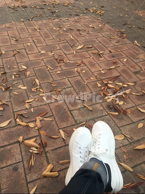 가을,신발,낙엽,더리,남자