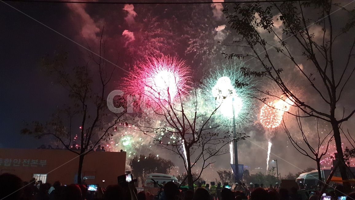 인간,사람,자연,불꽃,축제,옥외,여의도,나이트,빛,플레어,human,nature,outdoors,night,fireworks,light,flare,축제,행사,festival,carnival,event