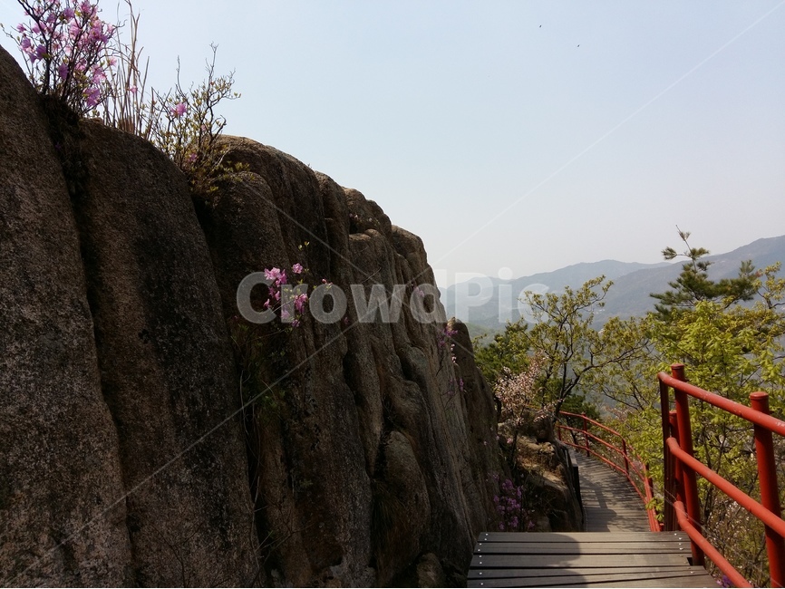 용봉산,충남,봄,바위,햇살,초록,하늘,자연,풍경,nature,landscape,한국자연풍경,한국자연경관,korea nature landscape,building,건물