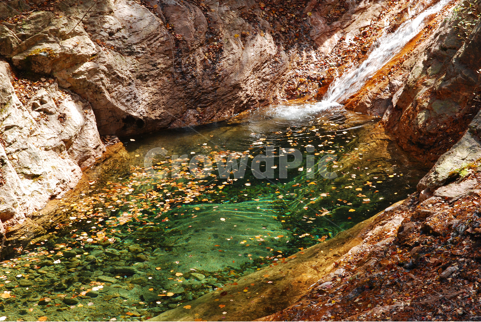 계곡,설악산,힐링,천불동계곡,물,명산,시원함,cool,valley,healing,water,summer,휴식,쉼,맑은,흐르다,flow,mountain,폭포,waterfall,landscape,nature,자연풍경,자연,풍경,계절,시즌,rest,한국자연풍경,여름,가을,낙엽,늦가을,자연,풍경,nature,landscape,한국자연풍경,한국자연경관,korea nature landscape,outdoors,옥외