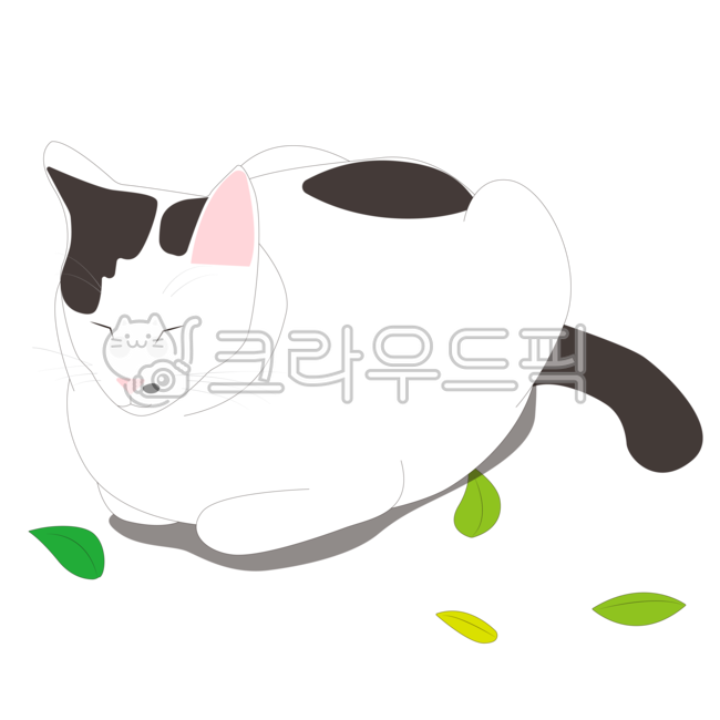 고양이,반려동물,동물,젖소고양이,귀여운,cute,cat,pet,animal,길고양이,식빵자세