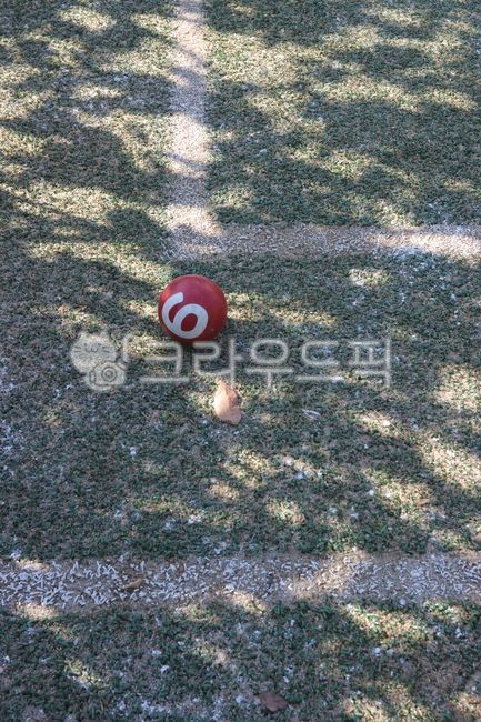 볼,게이트볼,인조잔디,그림자,ball,gateball