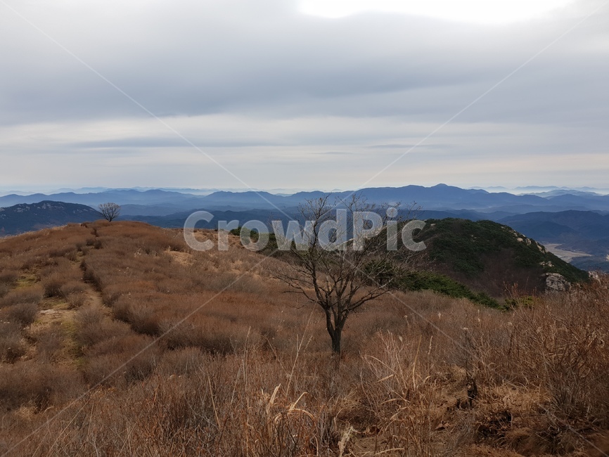산,황매산,억새,구름,풍경,nature,자연,outdoors,옥외