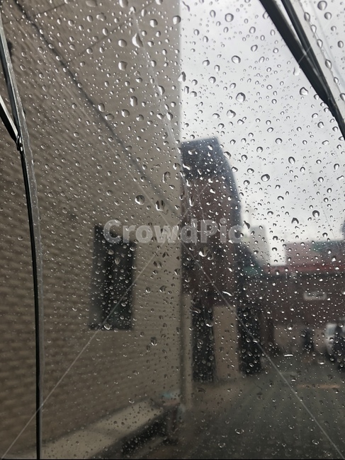 비,우산,비오는날,물방울,흐림,낮,빗방울,비,비오는날,rain,rainy