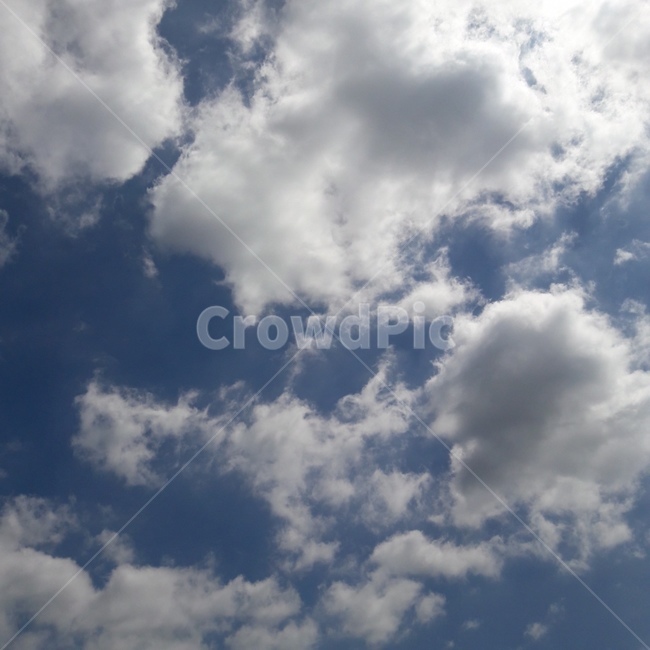 하늘,sky,cloud,구름,풍경,skyblue,하늘색,파랑,낮,뭉게구름,파란하늘,맑은하늘,cumulus,blue,파란색,맑은,파란,햇빛,햇살