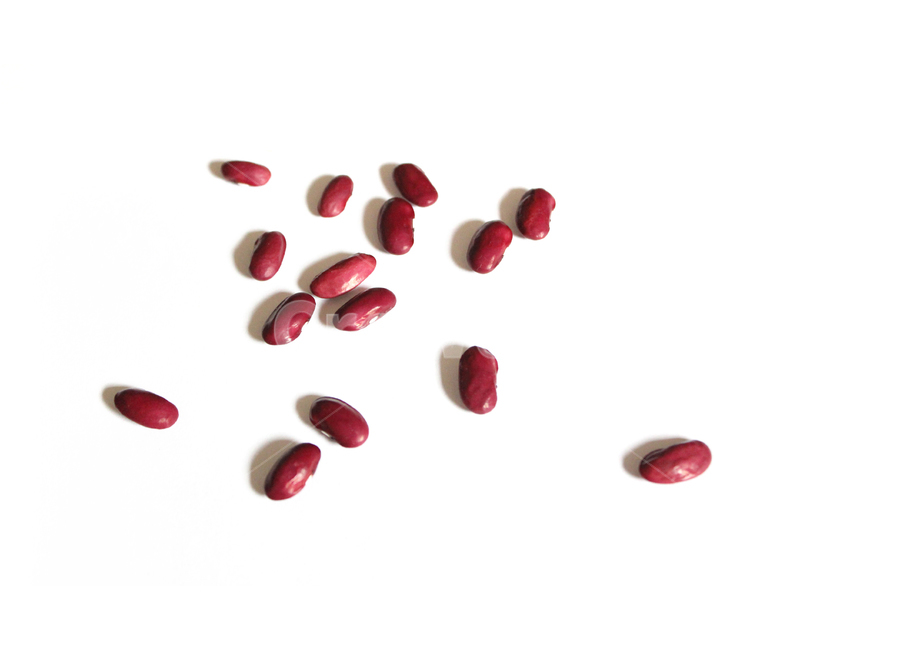 붉은콩,bean,콩,redbean,brown,closeup,dry,food,protein,red,seed,uncooked,vegetable,white,흰배경,야채,붉은색,빨강,말린,단백질,씨앗,요리재료,식재료,요리,음식,음식,식재료,요리,food,cook,meal,dishes,food reserves,콩류,견과류,beans,pulse,nuts,dry fruits,누끼,remove background