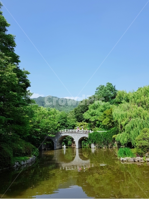 불국사,다리,풍경,호수,징검다리