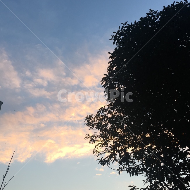 자연,nature,옥외,outdoors,하늘,sky
