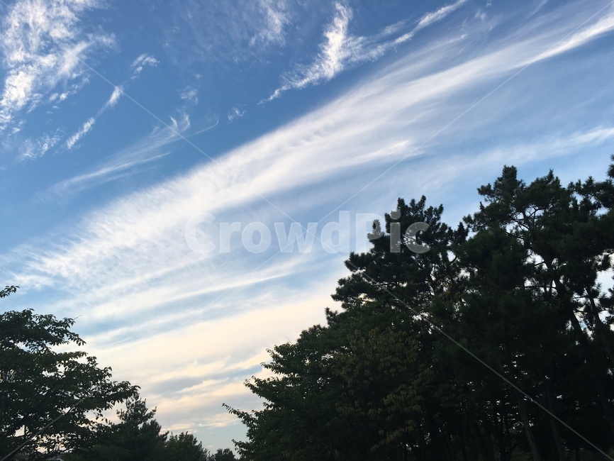 하늘,구름,파랑,맑음,가을날씨,자연,풍경,nature,landscape,outdoors,옥외