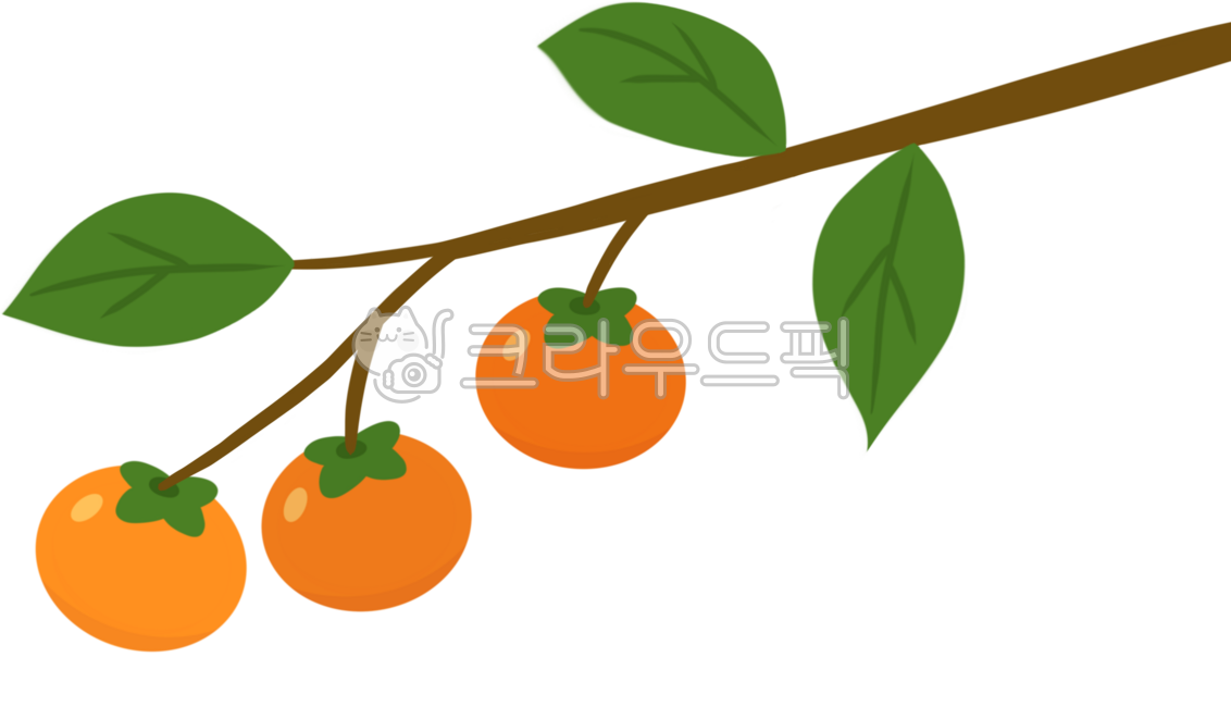 Persimmon,persimmon tree,dried persimmon,autumn persimmon,persimmon harvest,persimmon picking,ripe persimmon,persimmon branch,autumn fruit,persimmon fruit,persimmon ripening season,country persimmon tree,autumn scenery,persimmon painting,Chu