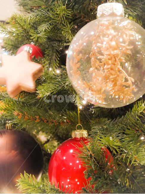 크리스마스,트리,크리스마스트리,장식,12월,25일,christmas,christmastree,tree,나무,구슬,조명,분위기,사람없음,별,배경회면,겨울,소품,겨울,계절,winter,season,기념일,축하,anniversary,congratulation,celebrate,celebration,메리크리스마스,성탄절,merry christmas