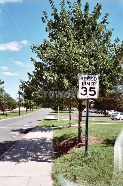 속도제한,35mph,35마일,speedlimit,도로,나무,가로수,필름,필카,네가필름,자연,풍경,nature,landscape