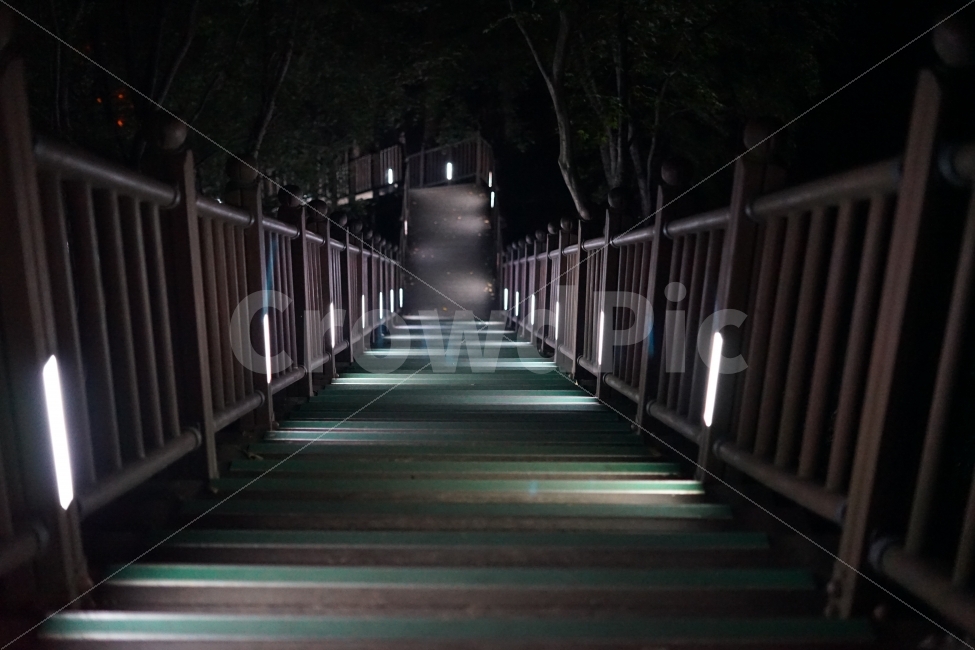밤,계단,불빛,빛,나무,산책,야경,밤,풍경,nightscape,night,landscape,banister,난간,handrail,railing