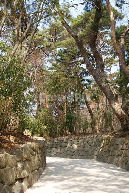 자연,풍경,landscape,nature,휴식,rest,season,산책,산책로,경주,나무,돌길,가을