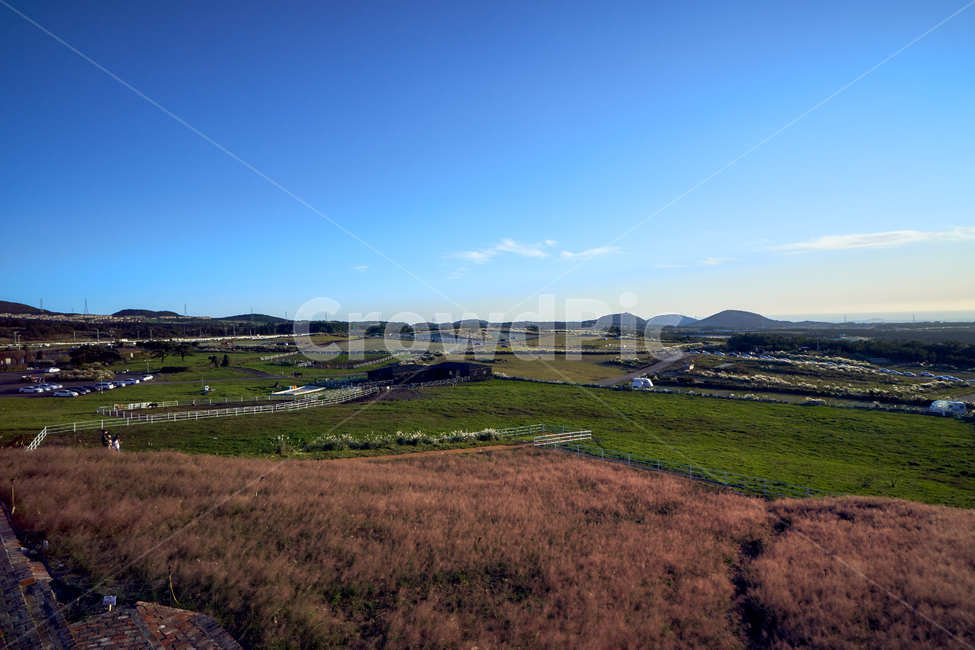 풍경,landscape,옥외,outdoors,푸른하늘,sky,자연,nature,핑크뮬리