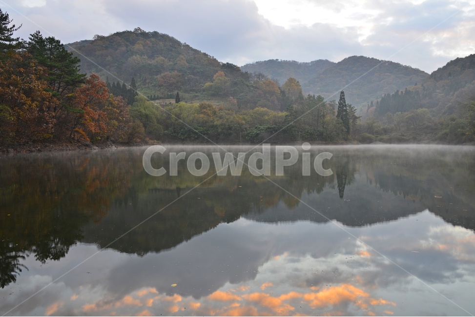 nature,자연,outdoors,옥외,mountain,산,mountainrange,산맥,plant,식물,tree,나무,전나무,fir,weather,날씨,화순,세량지,화순세량지,세량제,세량지가을,여명,아침,물안개,가을,만추,추색,water,물