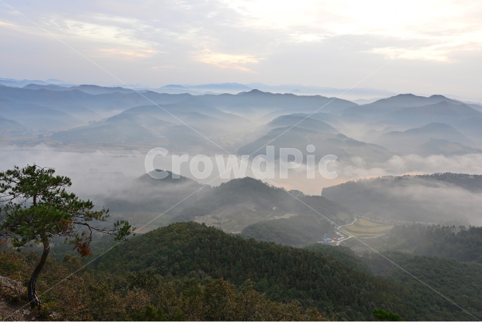 임실,국사봉,국사봉일출,여명,아침,해돋이,운해,소나무,nature,자연,mountain,산,mountainrange,산맥,outdoors,옥외,자연,풍경,nature,landscape