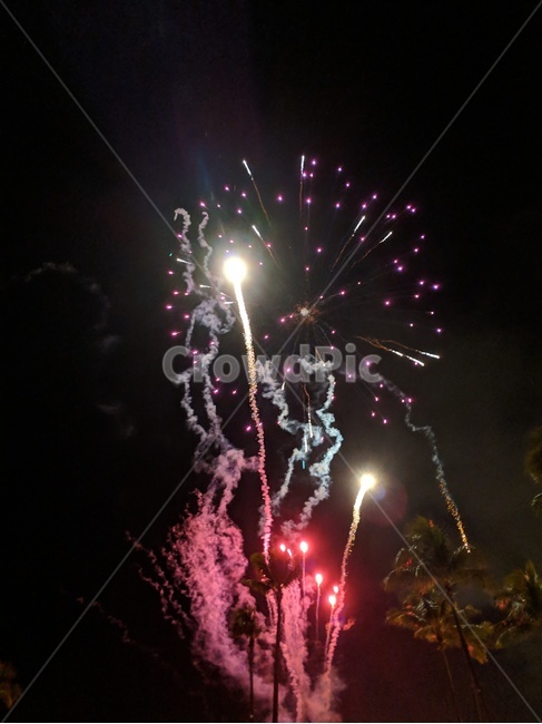 fireworks,palmtree,야자수,nightview,감성,야경,폭죽놀이,불꽃,축제,행사,밤하늘,show,hawaii,hilltonhawaiianvillage,waikiki,와이키키,하와이,자연,nature,해외