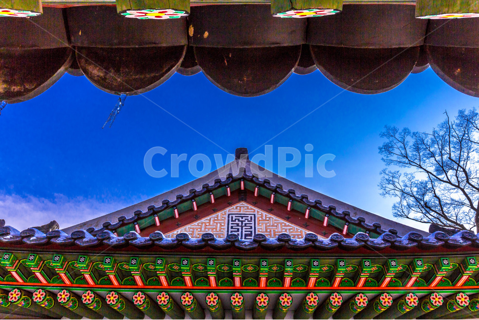 기와,처마,문화유산,전통,단청,겨울,계절,winter,season,한국전통,한국문화,korean traditional,korean culture,건축물,건물외관,exterior,building,structure,architecture,construction