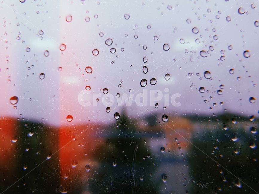 비,비오는날,물방울,흐린날,창문,rain,window,waterdrops,작은물방울,droplet,필름카메라,비,비오는날,rain,rainy