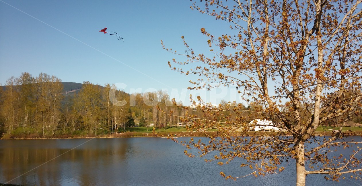 연,호수,나무,여름,kite,late,tree,summer,fall,sky,clear,맑음,하늘,가을,휴식,산책,바람,풍경,가을,계절,fall,autumn,season,자연,풍경,nature,landscape,water,물,outdoors,옥외