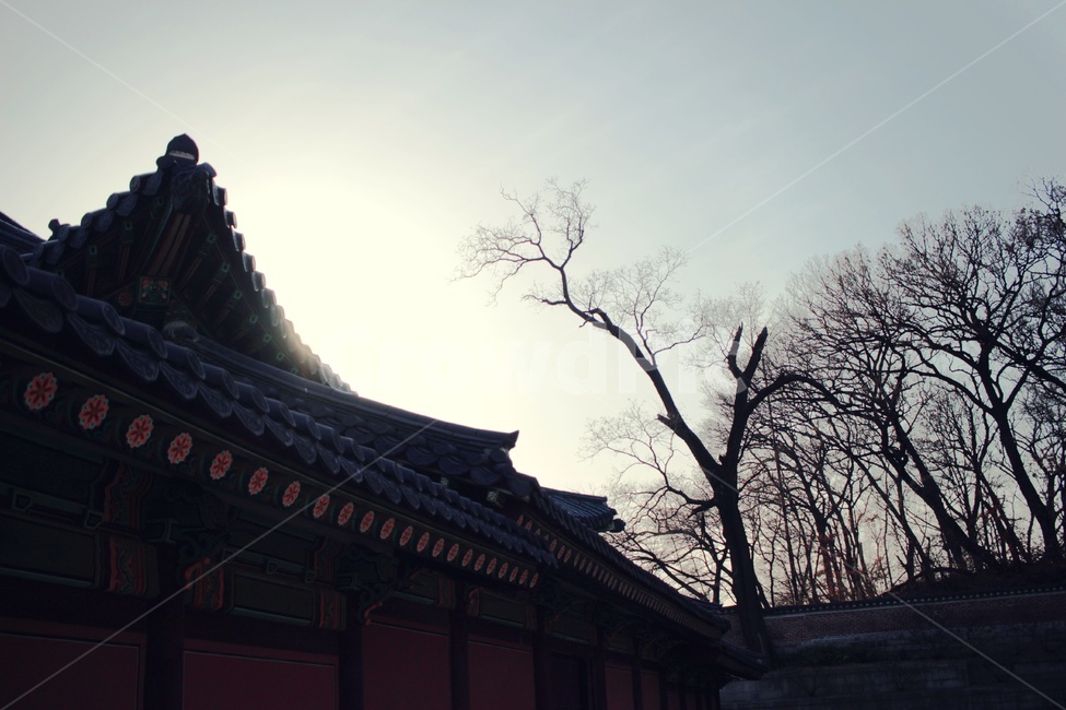 궁,덕수궁,경복궁,한국,한옥,전통,햇빛,temple,건축물,architecture,한국전통,한국문화,korean traditional,korean culture,건축물,건물외관,exterior,building,structure,architecture,construction