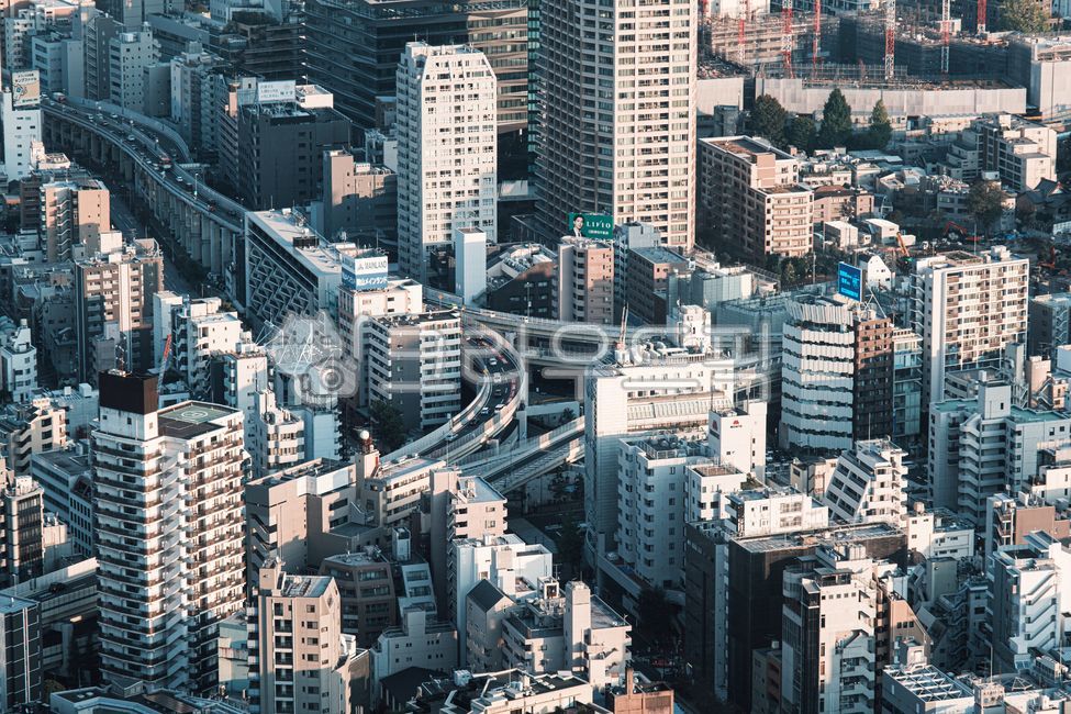 도쿄,일본,도심,중심지,고층건물,마천루,건물,건축물,도시,전망,전망대