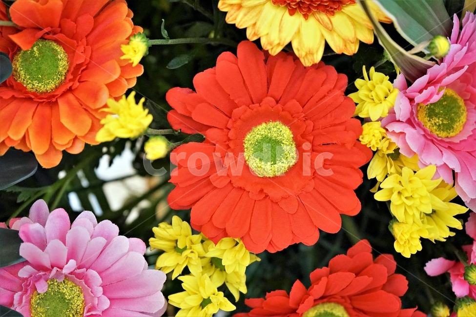 조화,꽃,장식,인테리어,수공예,handmade,flower,interior,소품,beautiful,plant,식물,자연,plants,nature,꽃,flower