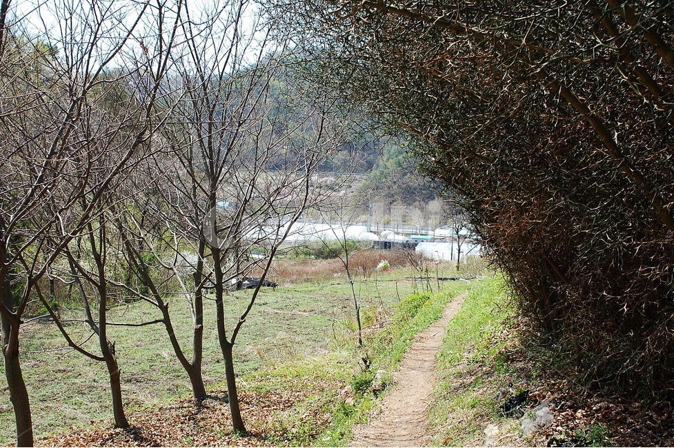등산,하이킹,자연,풍경,길,오솔길,자연,풍경,nature,landscape,식물,plants,나무,trees,wood,road,도로,gravel,자갈,dirt road,흙길,ground,바닥