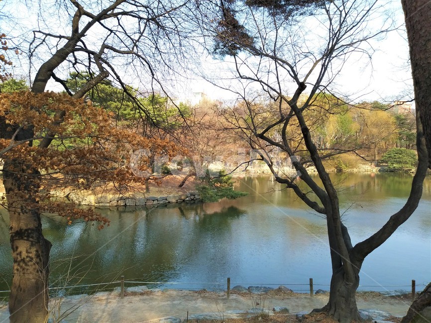 창경궁,호수,궁,조선시대,풍경,감성사진,자연,한국자연풍경,식물,휴식,힐링,자연,풍경,nature,landscape,한국자연풍경,한국자연경관,korea nature landscape,water,물,outdoors,옥외