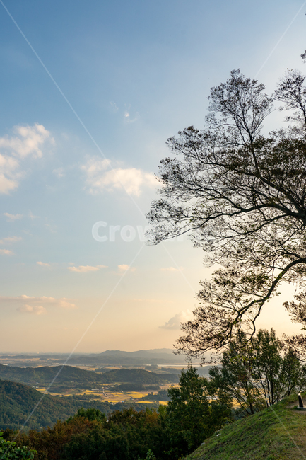 풍경,자연,nature,나무,tree,outdoors,옥외,자연,풍경,nature,landscape