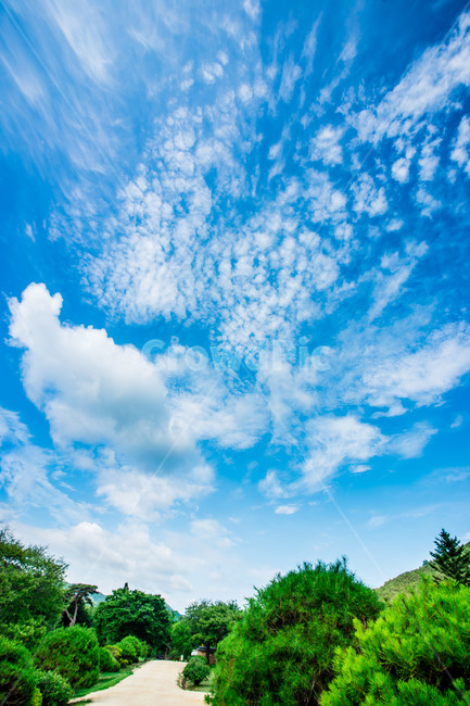 안동,병산서원,전통,문화유산,건물,자연,풍경,nature,landscape,outdoors,옥외