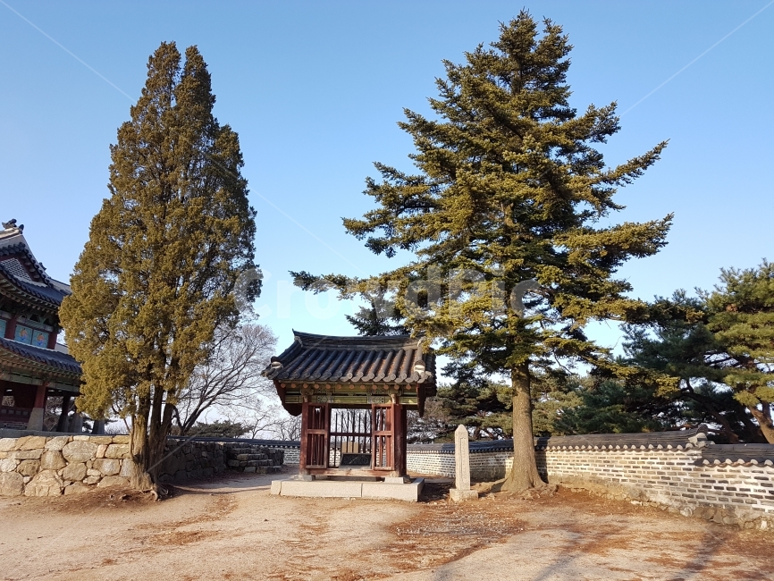 남한산성,수어장대,성곽,산책로,자연,나무,풍경,자연,풍경,nature,landscape,한국자연풍경,한국자연경관,korea nature landscape,한국전통,한국문화,korean traditional,korean culture,plant,식물,tree,abies,아비,fir,전나무