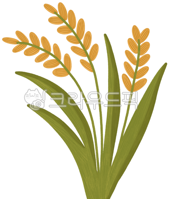 자연,벼일러스트,추수,벼,벼농사,햅쌀,쌀,rice,harvest,thanksgivingday,추석,fall,수확,벼수확,autumn,논,논작물,작물,모네기,보리,농산물,가을철,참새,허수아비,ricefarming