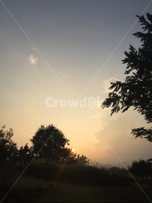 light,빛,자연,outdoors,flare,플레어,옥외,sunlight,nature,햇빛,자연,풍경,nature,landscape