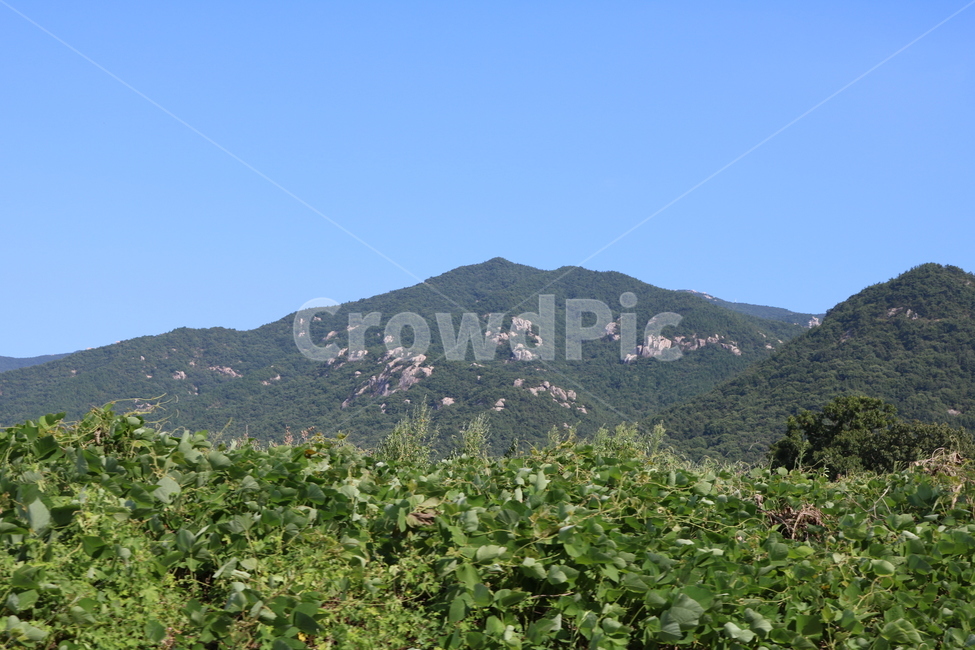 산,하늘,풍경,나무,낮,자연,풍경,nature,landscape,outdoors,옥외,hill,언덕