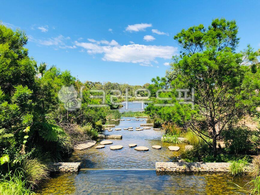 시드니공원,sydney,park,호주,공원,자연,nature,물,water,옥외,outdoors,오스트레일리아