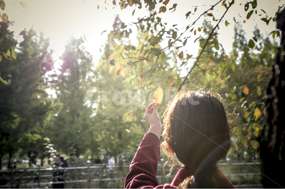 햇살,낙엽,가을,녹색,공원,그린,green,emotional,park,가을,계절,fall,autumn,season,사람,인물,인간,human,person,여성,여자,woman,female,lady,휴식,힐링,rest,relaxation,healing,light,빛,flare,플레어