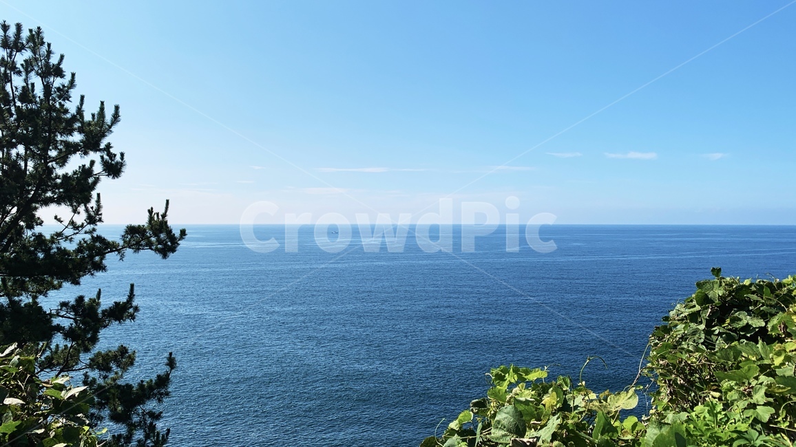 제주도,바다,대양,비율,수평선,하늘,jeju,island,sea,ocean,blue,tree,푸른