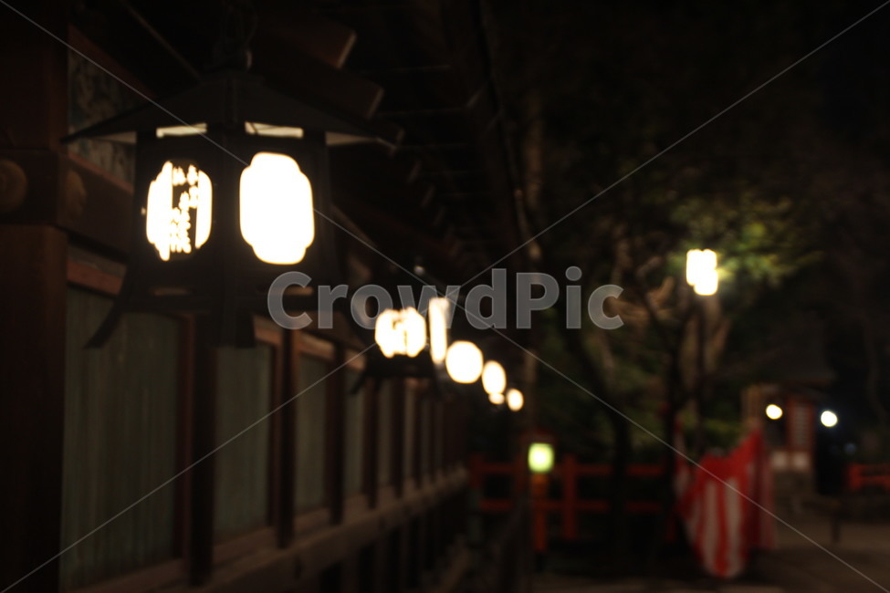 일본,도쿄,초점,등,감성사진,분위기,야경,밤,풍경,nightscape,night,landscape