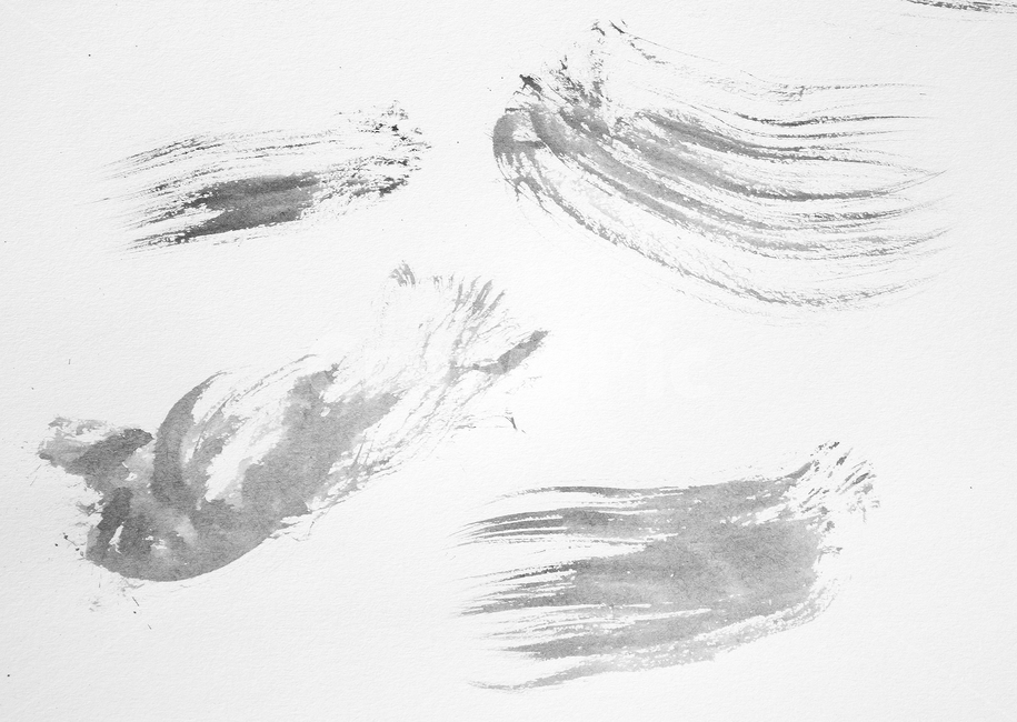 물감,페인트,페인팅,붓터치,터치,그림,아트,예술,미술,검은색,검정,블랙,흰배경,먹,먹물,브러쉬,잉크,종이,핸드드로잉,드로잉,스케치,회색,그레이,흑백,모노톤,monochrome,black and white,누끼,remove background,그래픽,일러스트레이션,graphic,illustration